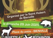 brocante-chasse